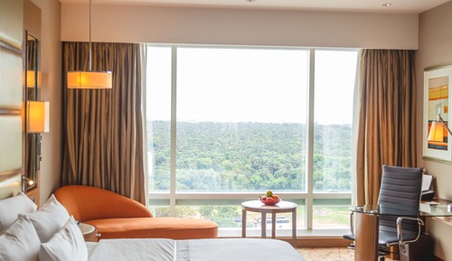 Executive Room, 1 King Bed
