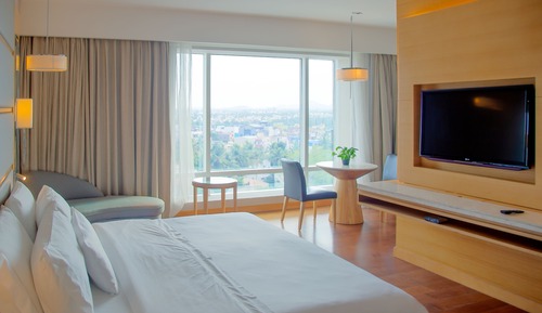 Executive Studio Suite, 1 King Bed