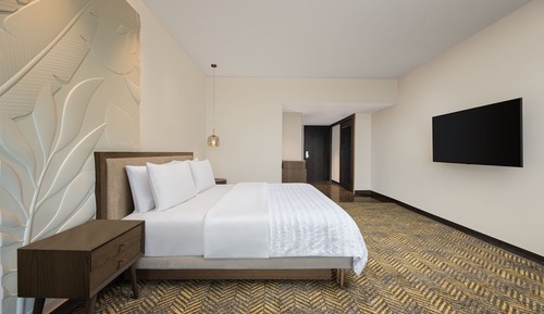 Club Room, 1 King Bed, City View