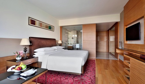 Room, 1 King Bed