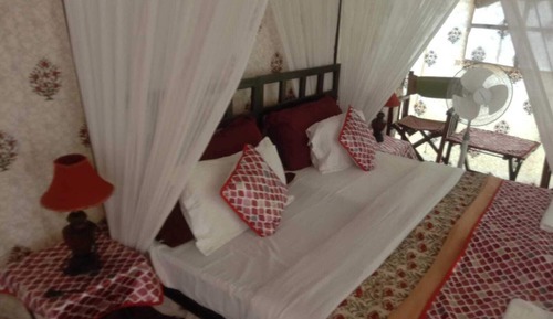 Luxury Tent, Garden View