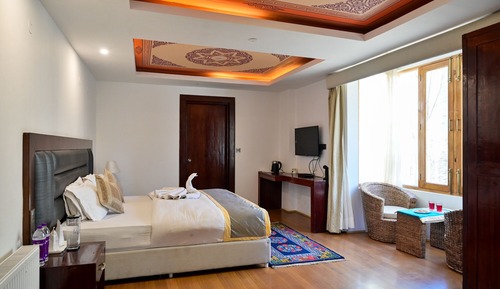 Deluxe Double or Twin Room