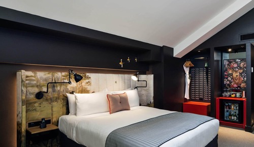 Room, 1 King Bed (Horizon King)