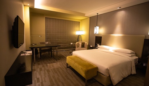 Room, 1 King Bed