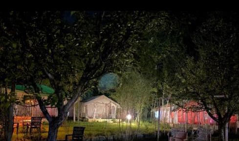 Tent