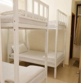 Bed in 4-Bed Dormitory Room