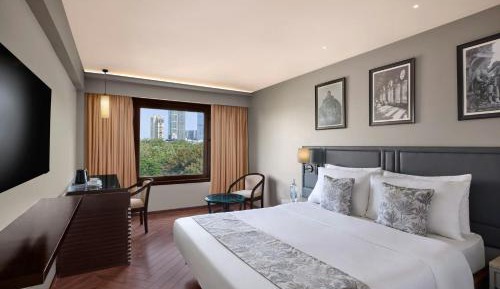 Winter Green King Room with City View