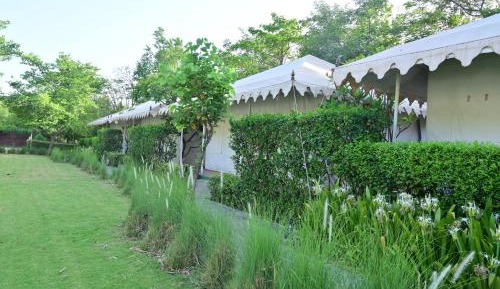 Tent