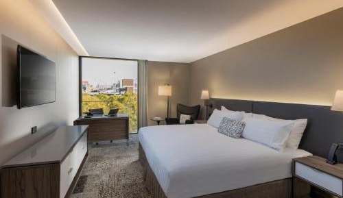 Premier King Room