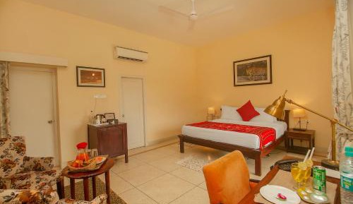 Paradise View with Balcony  - Free Bicycle Rides and Evening Tea - Coffee with Cookies