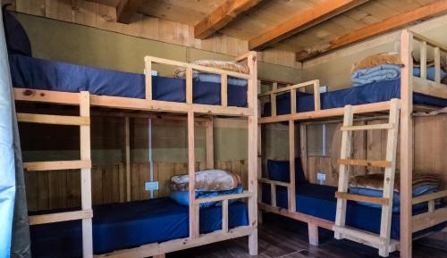 Bed in 4-Bed Female Dormitory Room