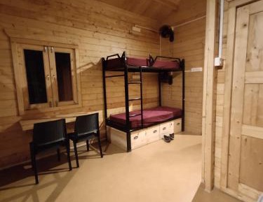 Bunk Bed in Mixed Dormitory Room