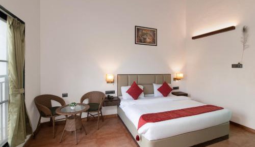 Superior Queen Room