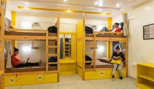 Bed in 8-Bed Mixed Dormitory Room