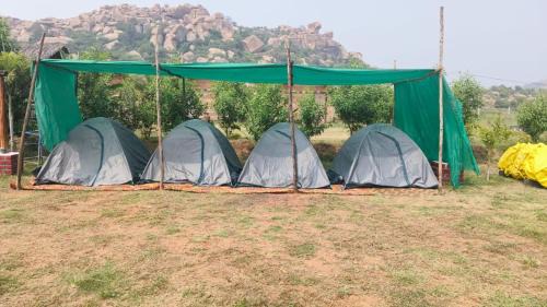 Tent