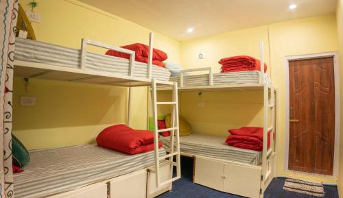 Bed in 4-Bed Mixed Dormitory Room