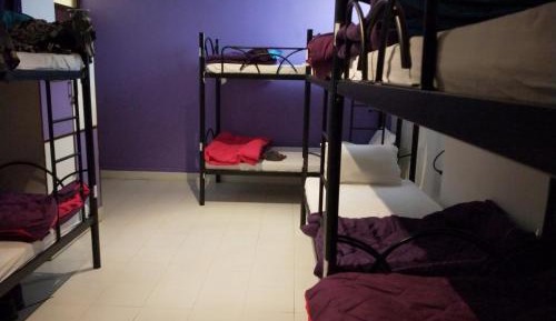 Bed in 6-Bed Mixed Dormitory Room