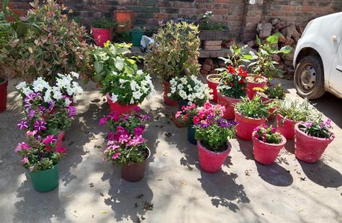 Purwa House | Rahul Home Stay