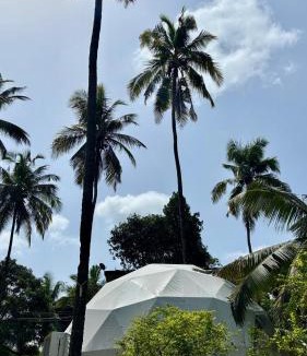 Bardez Hotel | Indulge House