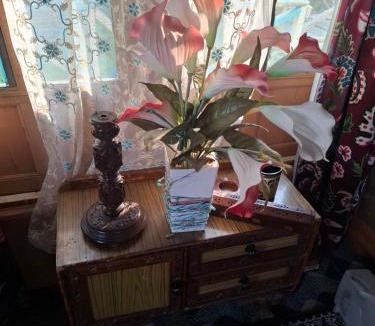 Dal Lake Bed & Breakfast | Houseboat Shagoo
