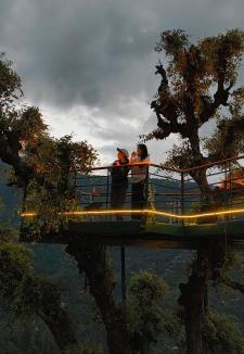 Bihar Hostel | MOZO Inn&Cafe Jibhi