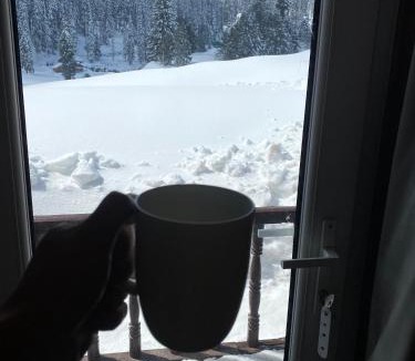 Srinagar Hotel | Gulmarg Woods By Stay Pattern