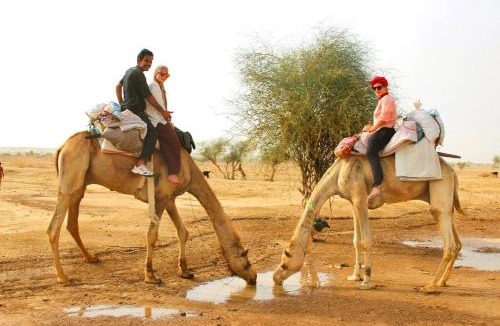 Amar Sagar Pol Other | Bas Desert Safari Jaisalmer