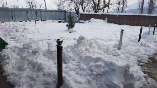 Srinagar House | Conifer view guest house