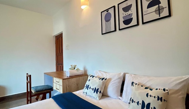 Evaddo Homes