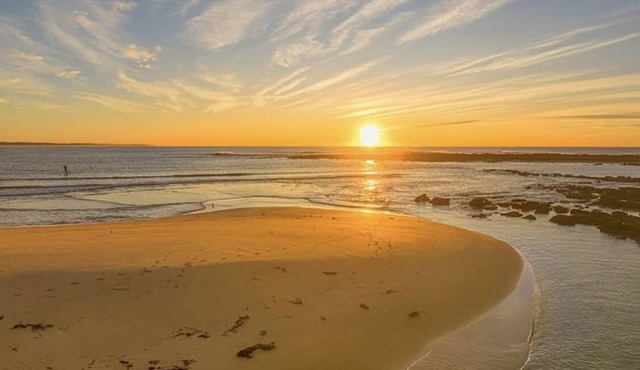 Beachfront Unit Watch the Sunrise & Sunset Sleeps 4, Pets Ok