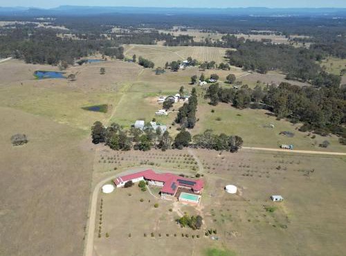 Noble Willow Homestead