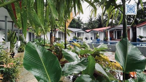 DD cottages Mandrem Goa