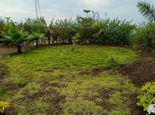 Shree Radha Nature Resort