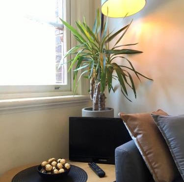 Charming Studio Apartment in Surry Hills