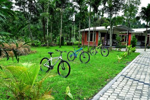 Rainy Cloud Homestay Private Cottages -Pool, Estate, Near to Falls & Safari