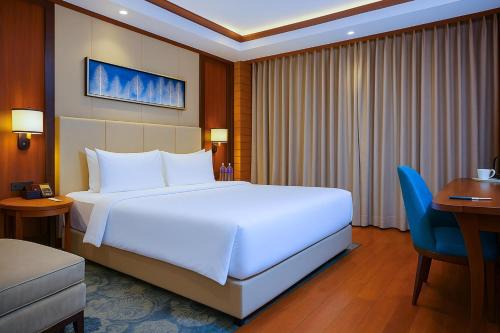 Radisson Blu Resort Dharamshala