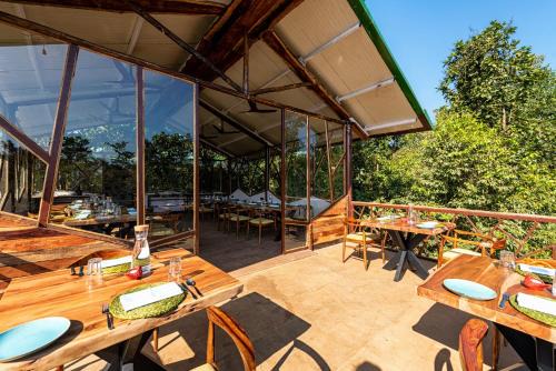 Kanha Jungle Camp