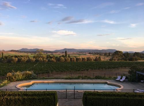 Tranquil Vale Vineyard